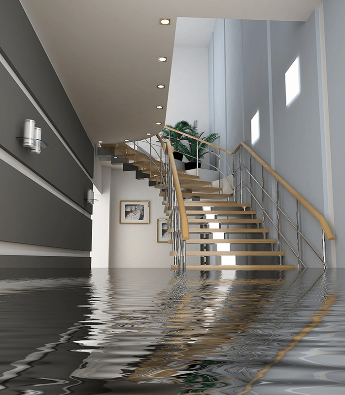 Preparing Your Home for Auckland's Wet Season