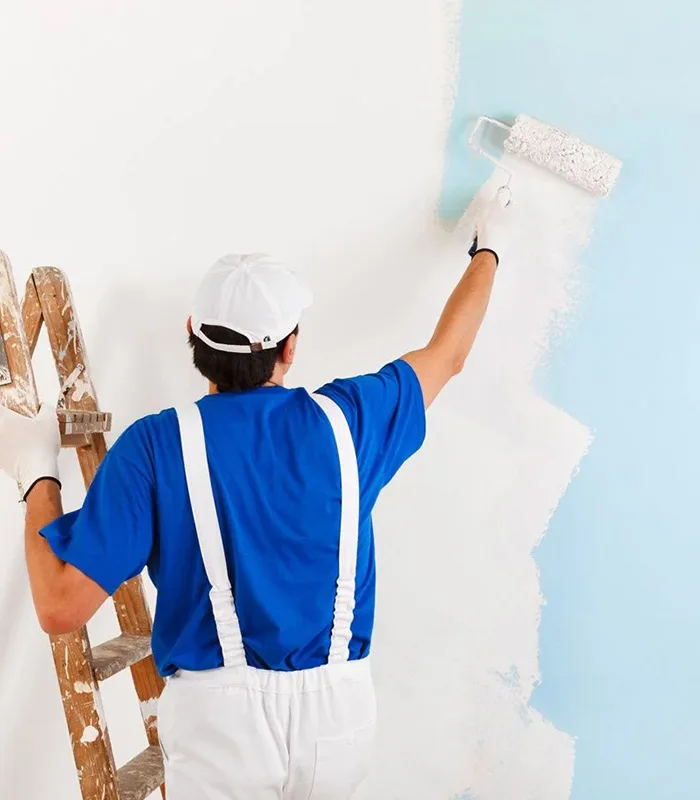 Painting & Plastering
