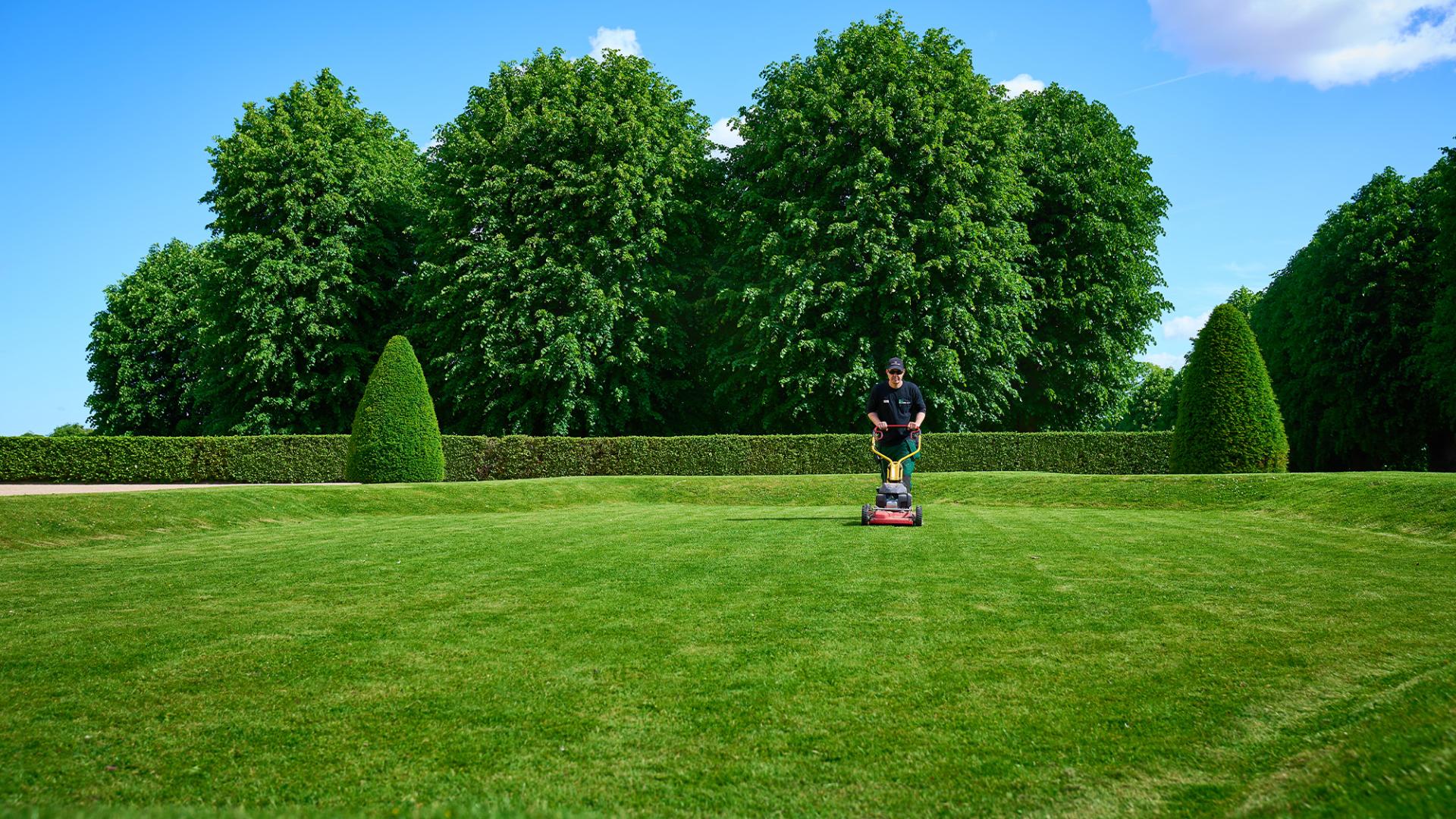 The Property Crew services